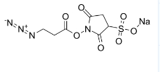 3-Azidopropionic Acid Sulfo-NHS Ester，CAS:2055198-09-7