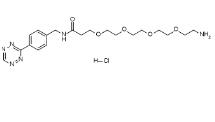 Tetrazine-PEG4-amine hydrochloride,CAS:2752945-36-9,四嗪-四聚乙二醇-氨基盐酸盐