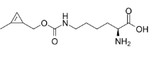 N-cyclopropene-L-Lysine；N-环丙烯-L-赖氨酸；cas:1610703-09-7