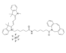 Cy3-DBCO,DBCO-Cy3,Cyanine3-Dibenzocycolctyne，Cy3-二苯基环辛炔，2692677-79-3