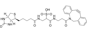 1363444-70-5；DBCO-Sulfo-Link-biotin