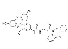  cas: 2054339-00-1，5-FITC-DBCO，Fluorescein-DBCO，5-异硫氰基荧光素-二苯并环辛炔