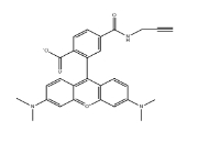 TAMRA alkyne, 6-isomer，CAS号：1352649-44-5