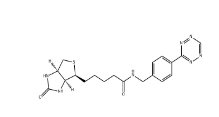 Tetrazine-biotin，CAS号：1714123-51-9， 四嗪-生物素