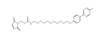 Methyltetrazine-PEG4-Maleimide，cas:1802908-02-6，甲基四嗪-四聚乙二醇-马来酰亚胺