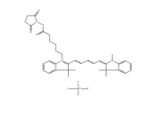 1263093-76-0，Cyanine5 NHS ester（BF4），CY5-琥珀酰亚胺/活化酯	