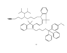 182873-76-3，Cy3-Phosphoramidite，花青素Cy3 亚磷酰胺	