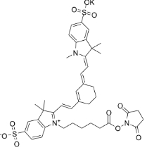 Sulfo-Cyanine7 NHS ester（环己烯）；1603861-95-5；磺酸基CY7 琥珀酰亚胺酯；水溶性七甲川花菁染料标记活性脂