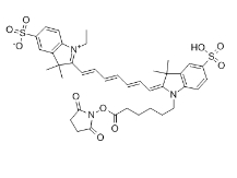 diSulfo-Cy7 NHS ester(Ethyl)；477908-53-5；二磺酸基Cy7-活性酯(乙基)