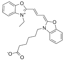Cy2 Carboxylic acid；260430-02-2；菁染料Cy2
