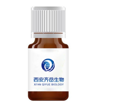 生物素标记聚蔗糖   