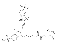 Sulfo-Cy3 MAL；1656990-68-9；磺基花青3马来酰亚胺