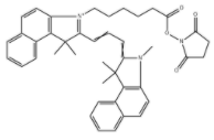 Cyanine3.5 NHS酯	  