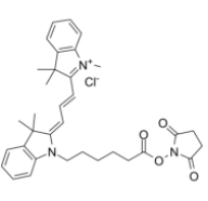 Cy3 NHS ester  