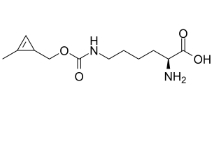 N-cyclopropene-L-Lysine，CAS:1610703-09-7，功能化的赖氨酸衍生物