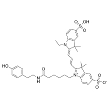 174961-75-2，Cyanine 3 Tyramide，Tyramide-Cy3，氰基-3-酪酰胺
