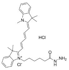 1427705-31-4，Cyanine5 hydrazide，Cy5 HZ，Cy5 酰肼
