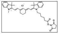 脂溶Cy7-N-羟基琥珀酰亚胺酯 脂溶Cy7-N-羟基琥珀酰亚胺酯