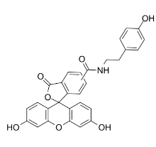 210236-90-1，Fluorescein Tyramide，FITC-Tyramide，荧光素酪胺