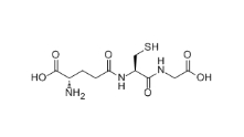CAS号: 70-18-8，科研级谷胱甘肽，L-Glutathione reduced 