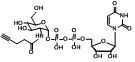 UDP-2-alkynyl-GlcNAc,N-乙酰葡糖胺,乙酰氨基葡糖