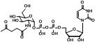 UDP-2-carbonyl-GlcNAc,尿苷二磷酸-2羰基-N乙酰葡糖胺