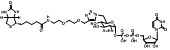 UDP-6-Biotinyl-GlcNAc 6-生物素基 -GlcNAc 