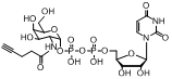 UDP-2-alkynyl-GalNAc UDP-2-烷炔基-GalNAc