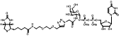 UDP-6-Biotinyl-GalNAc,生物素偶联N-乙酰半乳糖胺