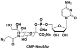 CMP-Neu5Az 核苷酸尿苷二磷酸衍生物