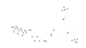 Cy3-dCTP， Cy3氰染料标记三磷酸核苷酸