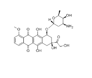 荧光标记阿霉素Doxorubicin cas:23214-92-8，FITC-DOX