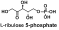 L-核酮糖-5-磷酸（L-ribulose 5-phosphate）