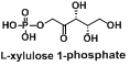 L-木酮糖-1-磷酸（L-xylulose 1-phosphate）