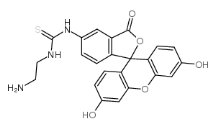 5-FITC 75453-82-6 5-异硫氰酸荧光素乙二胺