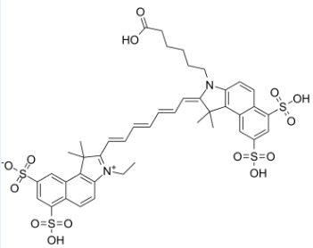 花青素CY7.5；847180-48-7