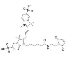Sulfo-Cy3 Maleimide;1656990-68-9;Sulfo-CY3 MAL;红色粉末 Sulfo-Cy3 Maleimide;1656990-68-9;Sulfo-CY3 MAL;红色粉末