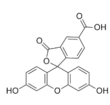 cas：76823-03-5，fitc-cooh，5-羧基荧光素