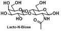Lacto-N-Biose Gal-b1,3-GlcNAc 乳糖-N-二糖
