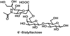 6-唾液酸乳糖（6-Sialyllactose）D-半乳糖和D-葡萄糖