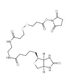 CAS号：142439-92-7，NHS-SS-Biotin