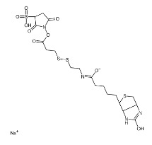 CAS: 325143-98-4，Sulfo-NHS-SS-Biotin sodium Chemical Structure