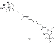 NHS-SS-biotin，CAS号：122266-55-1