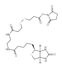 Biotin-bisamido-SS-NHS；142439-92-7