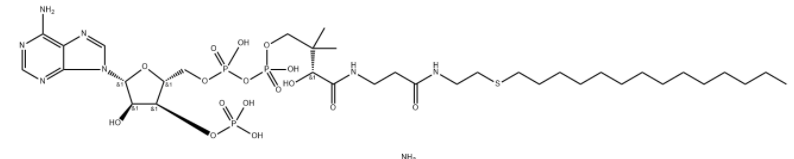   Tetradecyl-CoA triammonium  
