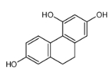 cas:70205-52-6，2,4,7-Trihydroxy-9,10-dihydrophenanthrene  
