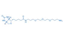 Biotin-PEG3-C3-NH2  