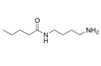 1018541-17-7，C4-Amide-C4-NH2