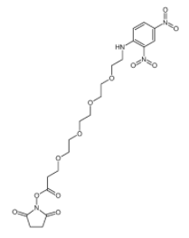 DNP-PEG4-NHS ester  