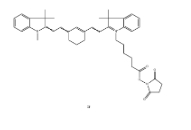 Cyanine7 NHS ester； CAS：1432019-64-1；脂溶Cy7-N-羟基琥珀酰亚胺酯